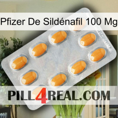 Pfizer De Sildénafil 100 Mg cialis3
